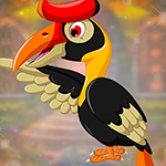 G4K Comely Hornbill Escape Game
